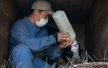 子牛の世話をする郡友和さん