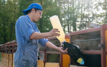 子牛の世話をする郡友和さん